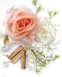 A delicate arrangement of flowers featuring a soft pink rose, white petals, and green sprigs interspersed with small twigs and Hydra Bloom Beauty Rose Love Bath Salts on a white background.
