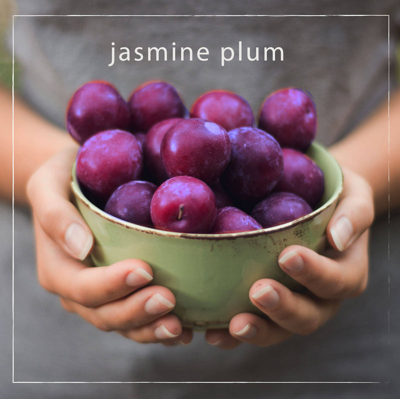 A person holding a green bowl full of vibrant purple plums with the label "Mangiacotti Jasmine Plum Mini Lip Repair" on the image.