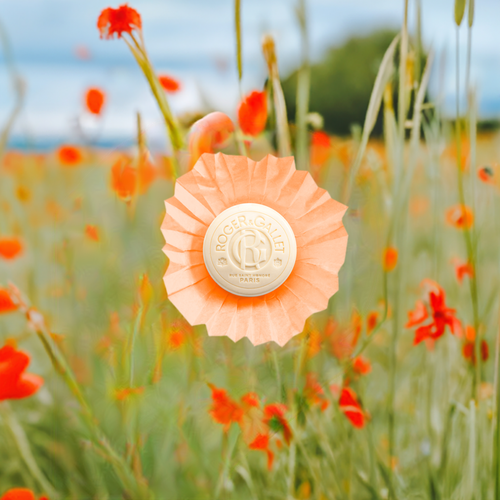 A Roger & Gallet Carnation branded circular paper soap proudly displayed amidst vibrant red poppies and delicate carnations in a sunlit field, under a blue sky with scattered clouds.
