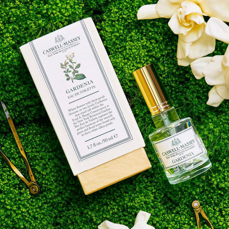 Bottle of Caswell Massey Gardenia Gardenia Eau de Toilette and its box on a lush green grass backdrop, next to white peony flowers and antique scissors.