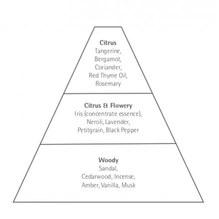 A pyramid diagram labeled with fragrance notes divided into three tiers: top notes including citrus and herbs, middle notes of mandarin & flowery essences, and base notes listed as woody for Carthusia 1681 eau de parfum - 50ml by Carthusia I Profumi de Capri.