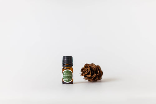 A small bottle of Victoria's Lavender - Lavender & Fir 5 ml Essential Oil Blend labeled "Victoria's lavender" next to a pine cone, both placed against a white background.