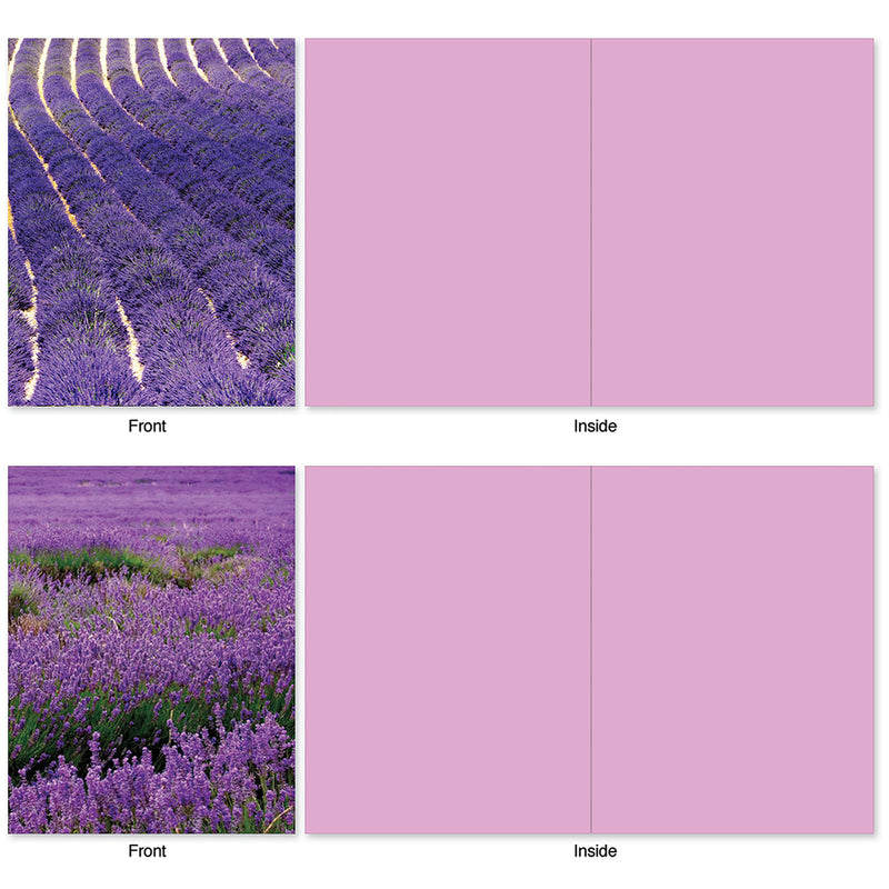 All Occasion Boxed Note Cards - Lavender Fields Forever featuring The Best Card Co.: the front of the first note card shows a vibrant lavender field in neat rows; the second front shows a wider, natural lavender landscape. Both interiors are blank.