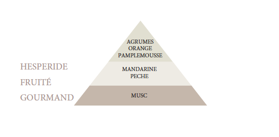 A pyramid diagram with three levels labeled with fragrance notes: bottom labeled "musc," middle labeled "mandarine peche," and top labeled with Bougies La Francaise Scented Candle in Glass Candy Jar - Crystallized Orange.