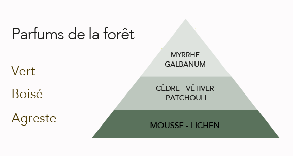 A pyramid illustrating the Bougies la Francaise Large Scented Pine Cone Candle - Green concept, with tiers labeled from base to top as mousse - lichen, cèdre - vétiver - patchouli.