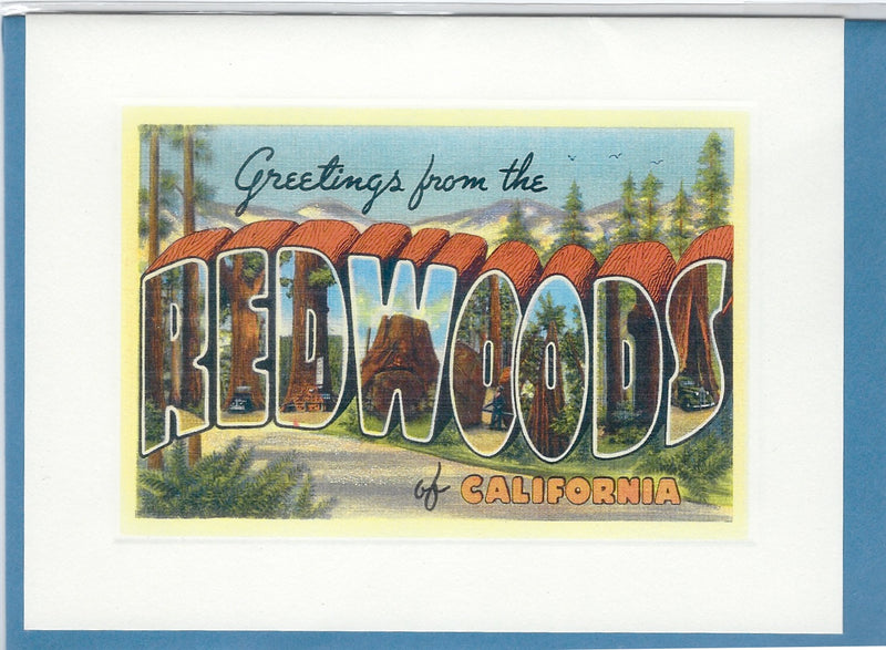 Vintage postcard reading "greetings from the redwoods of California" featuring All Occasion Greeting Card - Greetings from the Redwoods Sparkle Card illustrated with redwood trees visible through large letters by Greeting Cards.