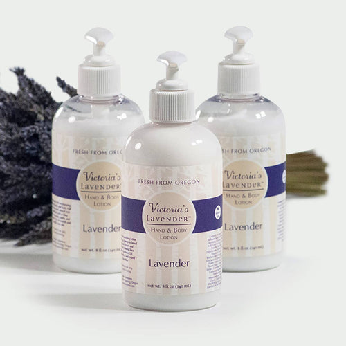 Three bottles of Victoria's Lavender - Lavender Hand and Body Lotion, infused with shea butter and featuring pump dispensers, displayed against a white background with lavender sprigs beside them.