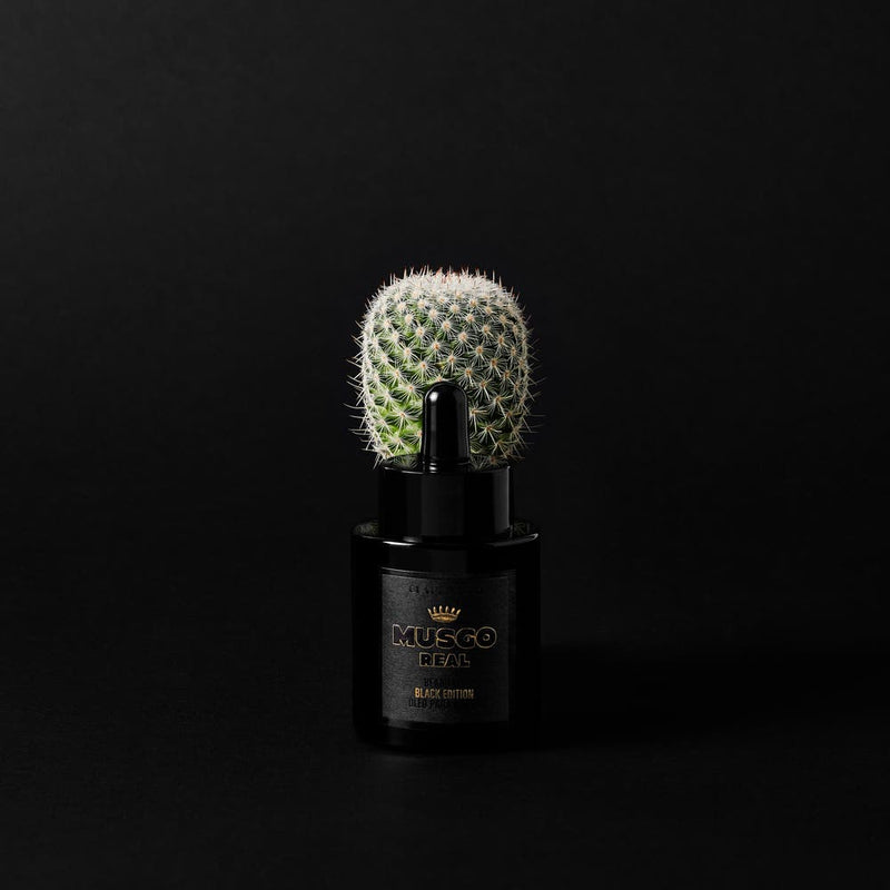 A small cactus plant positioned on top of a black Claus Porto Musgo Real Black Edition Beard Oil container against a dark background.