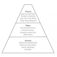 An illustration of a Carthusia Lady Carthusia Profumo pyramid divided into three sections labeled "flowery," "chypre," and "oriental," each listing specific scents like jasmine, carnation, and sandalwood from Carthusia I Profumi de Capri.