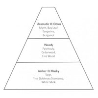 A pyramid diagram displaying fragrance notes, divided into three tiers: top notes of Carthusia Corallium Eau de Parum 50ml from Carthusia I Profumi de Capri, featuring myrrh, bay leaf, tangerine, and bergamot; middle notes of patchouly and cedarwood.