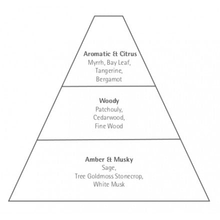 A pyramid diagram displaying fragrance notes, divided into three tiers: top notes of Carthusia Corallium Eau de Parum 50ml from Carthusia I Profumi de Capri, featuring myrrh, bay leaf, tangerine, and bergamot; middle notes of patchouly and cedarwood.