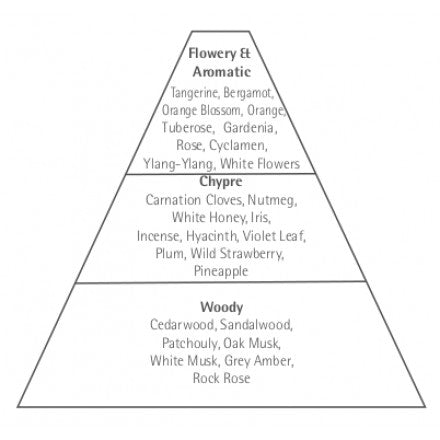 A pyramid diagram categorizing scents into three layers: top is "Carthusia Fiori di Capri & aromatic," middle is "white honey," bottom is "woody," with examples of each scent.
