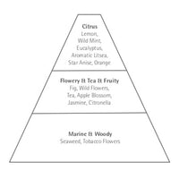 Illustration of a pyramid diagram with three sections labeled from top to bottom: citrus, flowery & fruity, and marine & woody, listing various scents like lemon, wild fig, and seaw in Carthusia Io Capri Eau de Toilette- 50ml by Carthusia I Profumi de Capri.