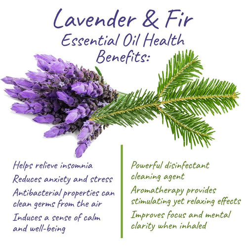 Image showcasing a bundle of Victoria's Lavender - Lavender & Fir Home Spray next to a fir branch, with text detailing the health benefits of lavender and fir essential oils such as relieving insomnia, anxiety, and improving focus and mental clarity.