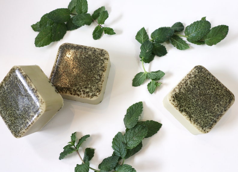 Three Homegrown {77833} Co - Mint to Be chia seed pudding cubes surrounded by fresh mint leaves and a sprinkle of matcha on a white surface.