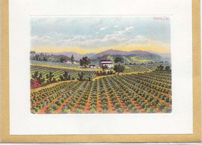 Vintage All Occasion Greeting Card depicting a scenic view of a vineyard in Napa, California with rows of grapevines, a farmhouse, and mountains under a colorful sky by Greeting Cards.