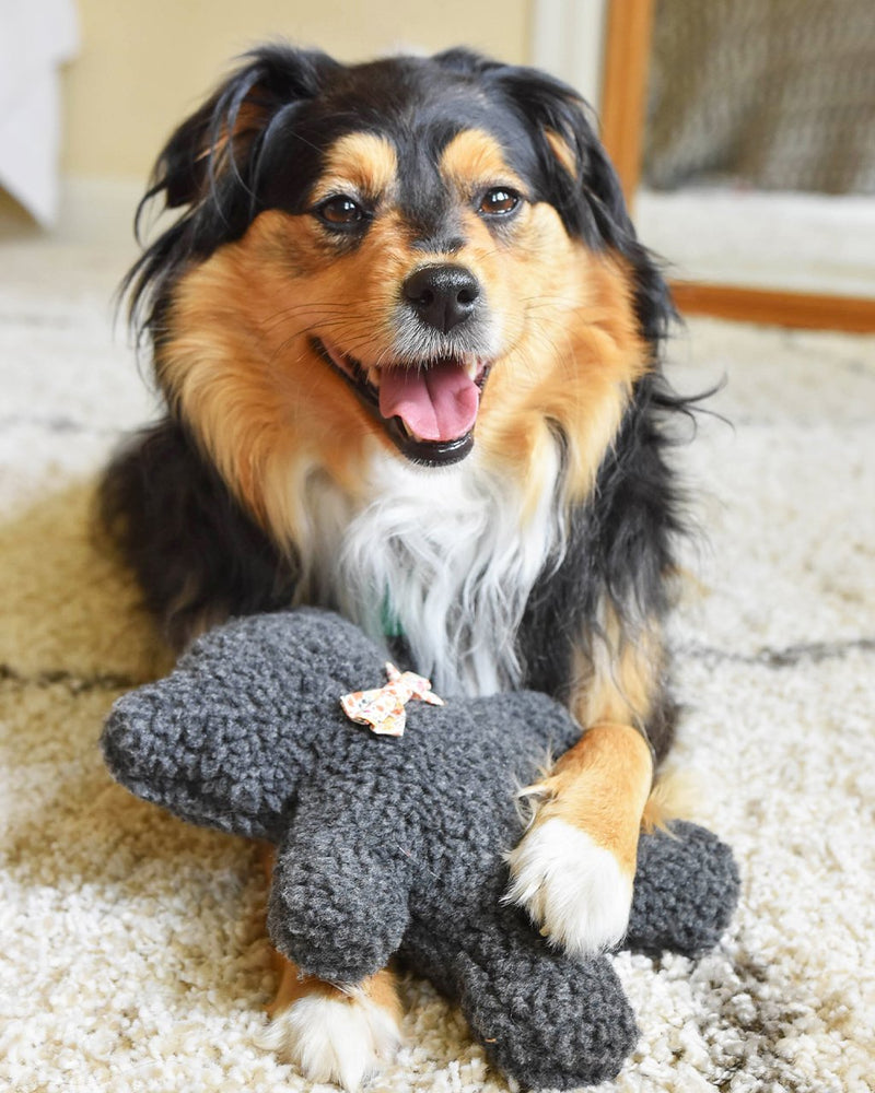 A cheerful black and tan dog with a silky coat, sitting on a cream carpet, happily holding a MODERNBEAST Lavender Bedtime Bear - Grey Plush w Wildflower Bowtie with its paws.
