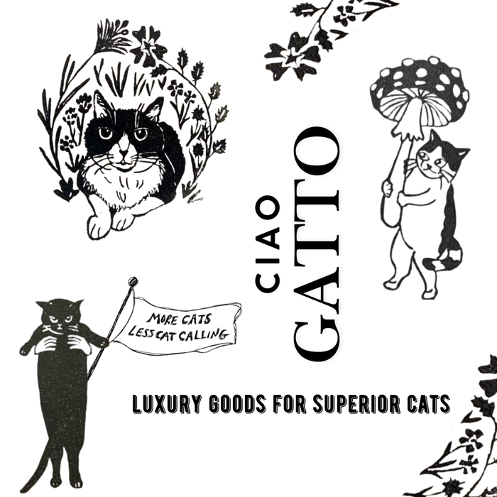 Ciao Gatto Cat Market