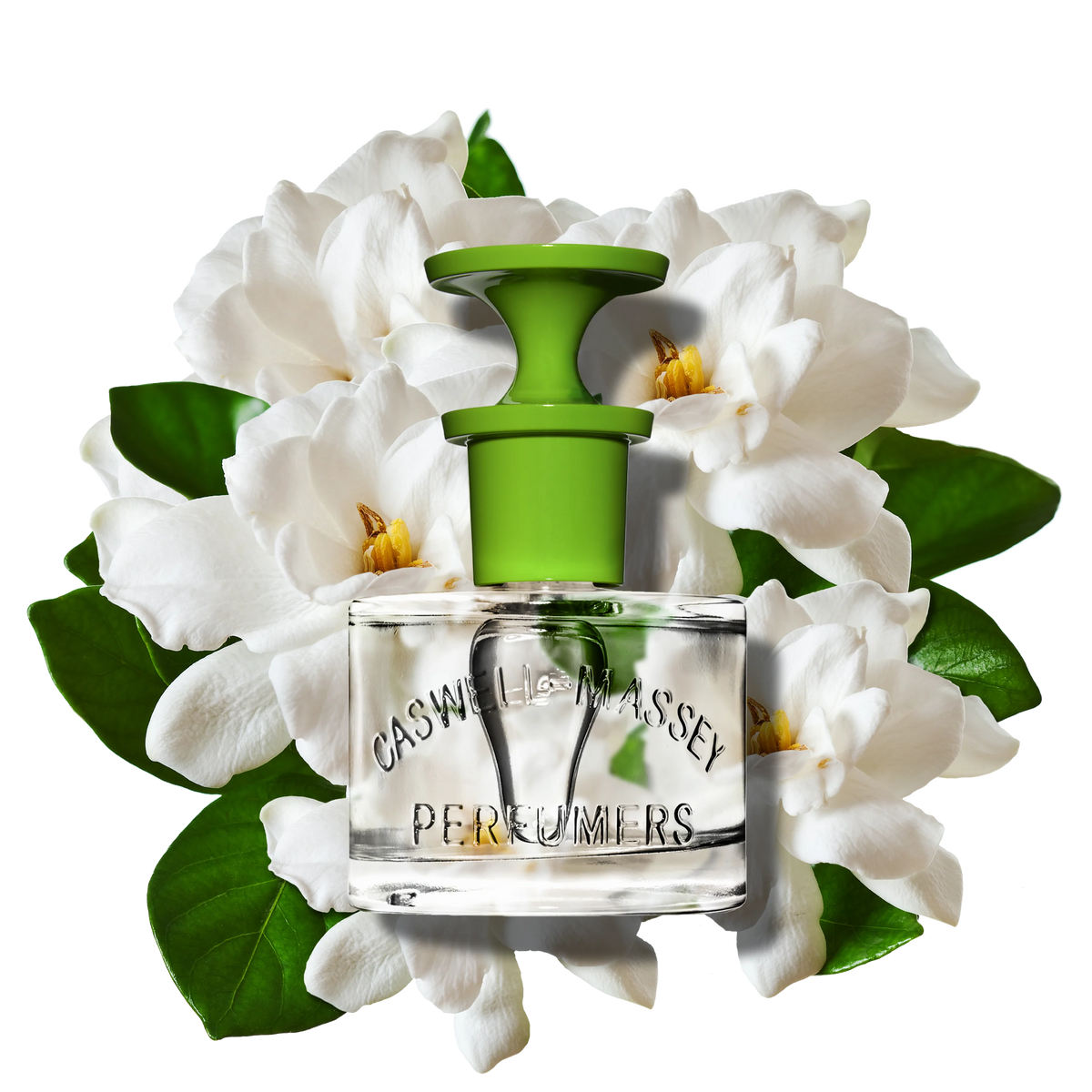 A clear 60ml Caswell Massey Gardenia Eau de Toilette bottle with a green cap, set before white gardenias and green leaves, evokes this elegant floral fragrance with subtle white woods undertones.