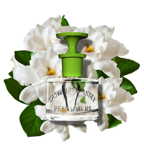 A clear 60ml Caswell Massey Gardenia Eau de Toilette bottle with a green cap, set before white gardenias and green leaves, evokes this elegant floral fragrance with subtle white woods undertones.