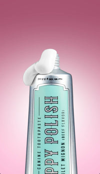 A tube of Wag & Bright Supply Co. - Puppy Polish Toothpaste - Filet Mignon (Beef), your trusted oral care choice for dogs, showcases its filet mignon flavor against a pink backdrop. The cap is open, displaying a dollop of white toothpaste made with natural ingredients coming out from the tube.