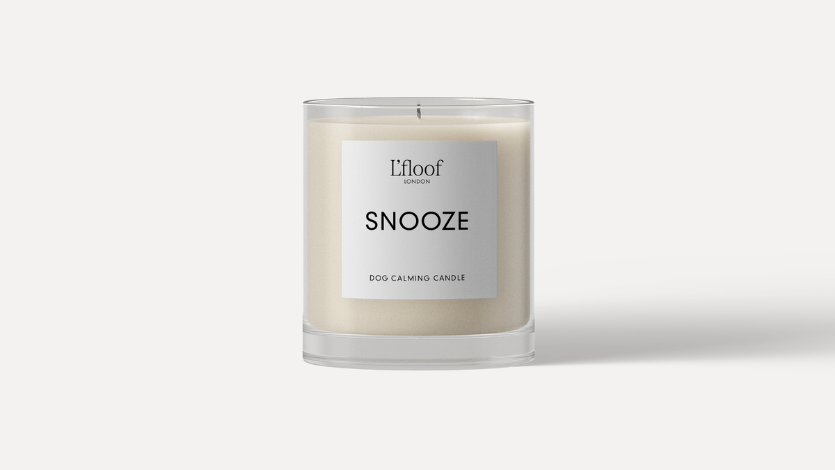 The L'floof Dog Calming Candle SNOOZE, a 330ml essential oil white candle in a clear glass jar, features the “L’floof LONDON SNOOZE DOG CALMING CANDLE” label on a plain white background—ideal for soothing your dog.