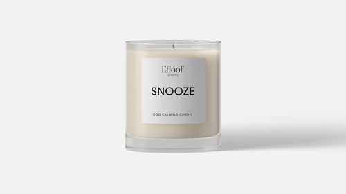 The L'floof Dog Calming Candle SNOOZE, a 330ml essential oil white candle in a clear glass jar, features the “L’floof LONDON SNOOZE DOG CALMING CANDLE” label on a plain white background—ideal for soothing your dog.