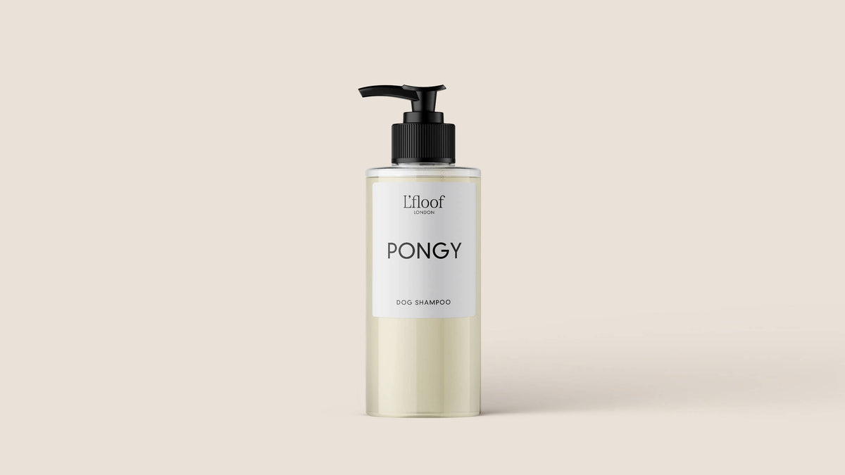 A clear plastic bottle with a black pump dispenser is filled with a light yellow liquid. The label reads "L'floof PONGY Orange/May Chang Natural Dog Shampoo." Infused with essential oils, this cruelty-free formula ensures your pet’s coat is clean and fresh. The background is a pale cream color.