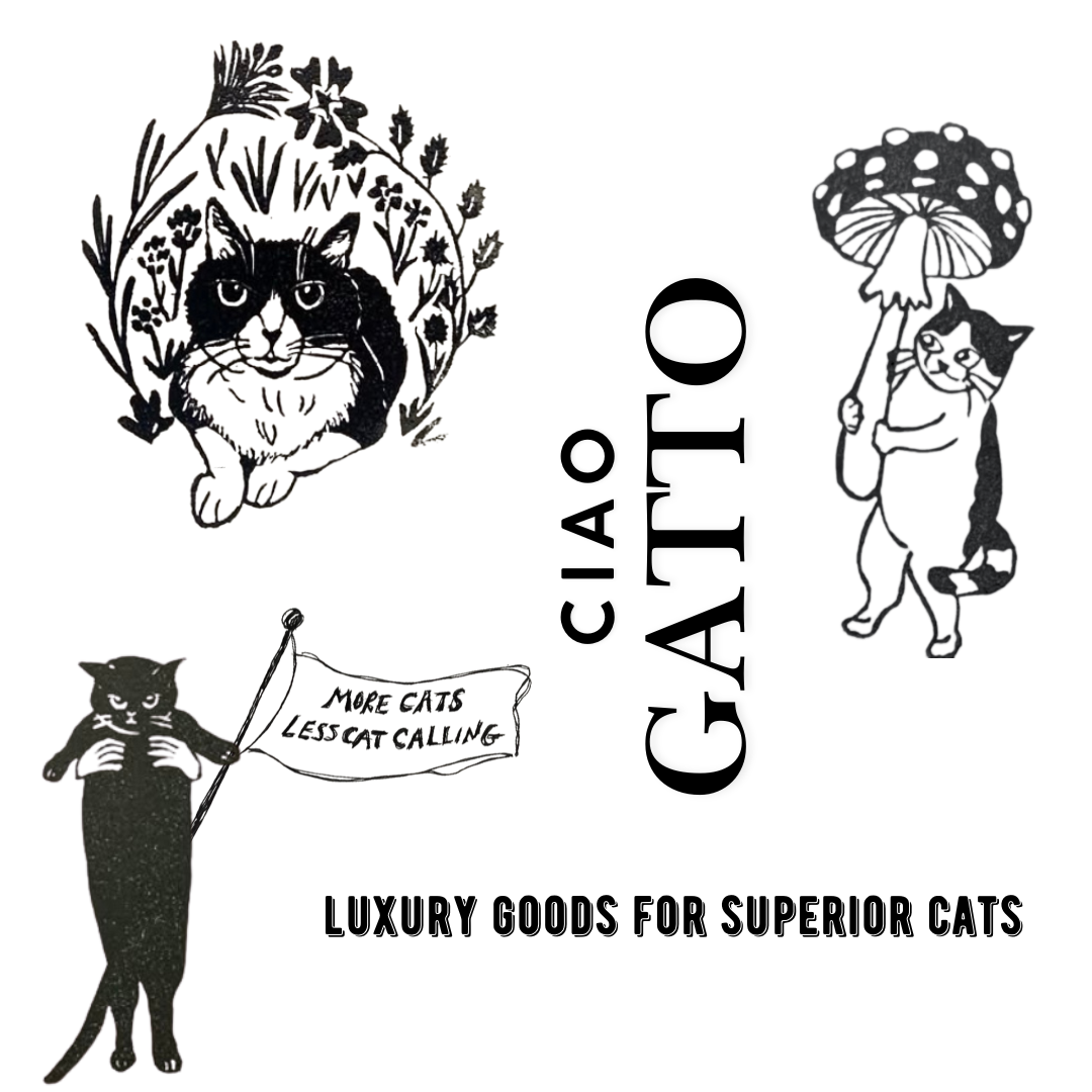 Ciao Gatto Cat Market - La Pasta Di Gatto Organic Catnip Tortellini 