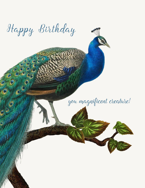 The P. Flynn Design / Phun House "Happy Birthday You Magnificent Creature" card features a vibrant peacock with blue and green feathers on a branch and elegant blue script—perfect for birthday greetings.