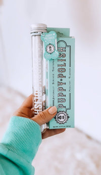 A person in a teal sweater holds a Wag & Bright Supply Co. - Puppy Polisher Eco Toothbrush (Medium) and a teal package labeled "Wag & Bright Supply Co." The packaging displays playful designs and text, with a tag indicating poultry flavor, promoting pet dental health.