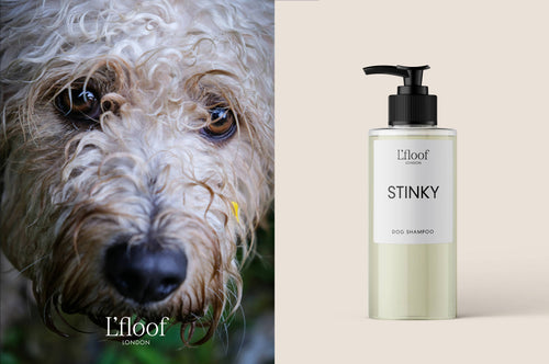 On the left side, a close-up of a shaggy-haired dog with a somewhat messy appearance. On the right side, a bottle of L'floof STINKY Bergamot/Lavender Natural Dog Shampoo - 300ml stands against a neutral background, featuring a pump dispenser.