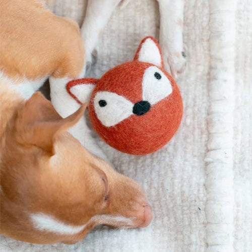 A brown and white dog lies on a cream-colored rug next to the MODERNBEAST Fox Beastball Wool Cat and Dog Toy, an orange round toy shaped like a fox’s face with white ears, eyes, and a black nose by MODERNBEAST.