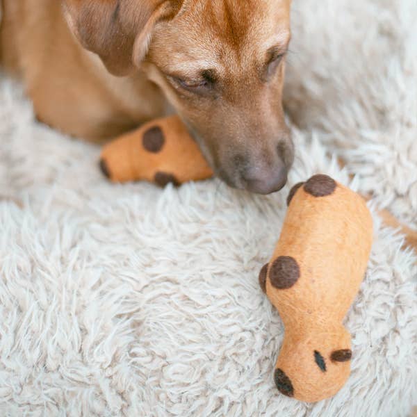 MODERNBEAST WOOL CAPYBARA Wool Dog Toy: Small