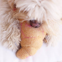 A fluffy white dog cuddles and chews on the MODERNBEAST WOOL CROISSANT Wool Dog Toy, with its face partially hidden by fur.