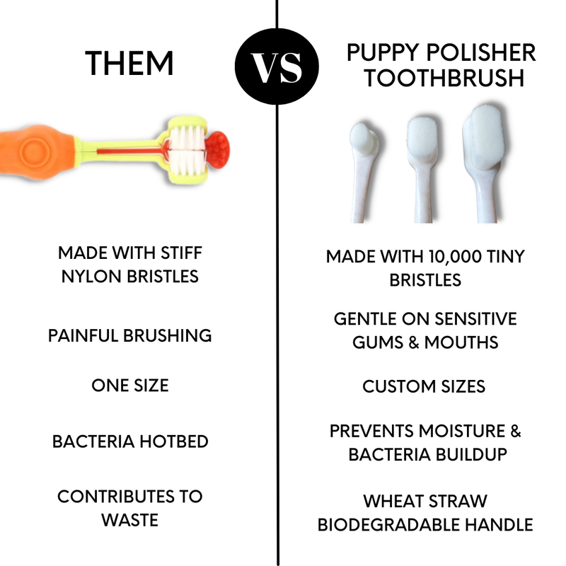 A comparison chart of two toothbrush types: on the left, a traditional toothbrush with stiff nylon bristles; on the right, the Wag & Bright Supply Co. Puppy Polisher Pearl Eco Toothbrush (Extra Small), BPA-free and featuring 10,000 tiny bristles for optimal dog dental health—gentle on gums and available in custom sizes.