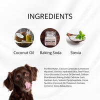 Images showcase a bowl of coconut oil, a jar labeled "Baking Soda," and a small dish of stevia leaves. Beneath them, a brown dog with its tongue out looks upward. The Wag & Bright Supply Co. - Puppy Polish Toothpaste in Filet Mignon (Beef) flavor is crafted with all-natural ingredients—an ideal oral care solution for dogs.