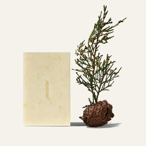 A rectangular Caswell-Massey Patchouly and Pine Bar Soap with a subtle embossed line stands upright beside a small pine branch emerging from a pine cone, set against a plain light background.