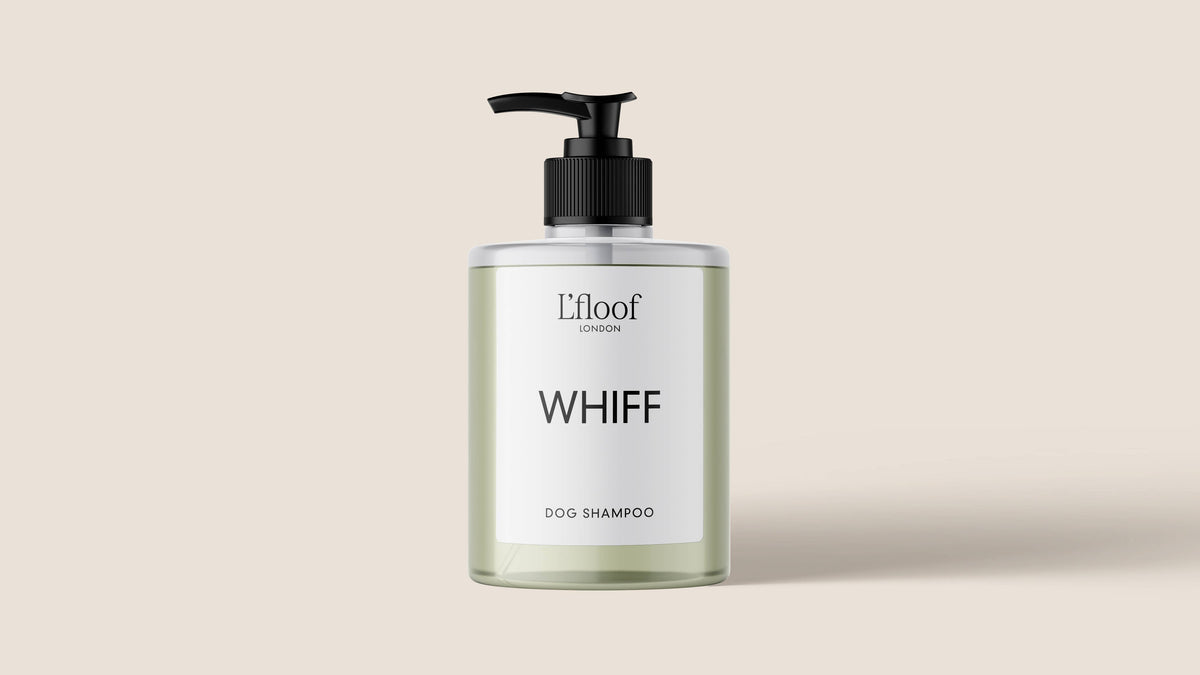 A clear bottle of cruelty-free dog shampoo labeled "L'floof WHIFF Natural Orange Oil Dog Shampoo" by L'floof, featuring a black pump dispenser and a minimalist design. The bottle contains a light green liquid and is set against a plain beige background.