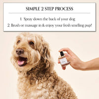 A fluffy, light brown dog sits as a hand sprays Goldie Dog Fragrance- Summer Tonic near its back. Above, the instructions say: "Spray down your dog's back, brush or massage in, and enjoy a fresh-smelling pup with Goldie luxury grooming!.