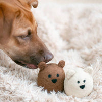 A brown dog sniffs two MODERNBEAST Wool Polar Bear Dog Toys—one brown and one off-white—on a fluffy, cream-colored rug.