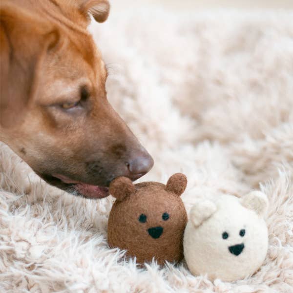 A brown dog sniffs two MODERNBEAST Wool Brown Bear Dog Toys—one brown and one cream—while lying on a soft, beige, shaggy rug.