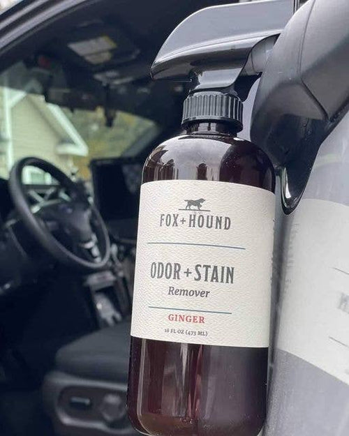 A bottle of Fox + Hound - Pet Odor + Stain Remover - Ginger sits on a car door edge, with dim interior lighting showing seats and a steering wheel, capturing a tranquil pre-trip moment with your pet.