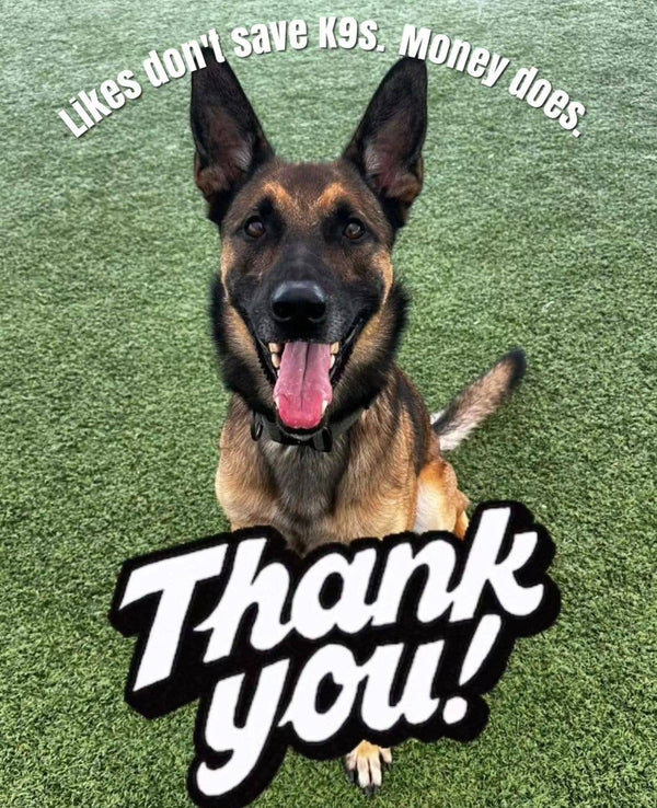 A happy German Shepherd sits on grass, looking up with its tongue out. Text above: "Likes don’t save K9s. Money does." Large text below: "Thank you!" Support with a Fox + Hound Odor Eliminator Soy Candle - White Birch purchase.