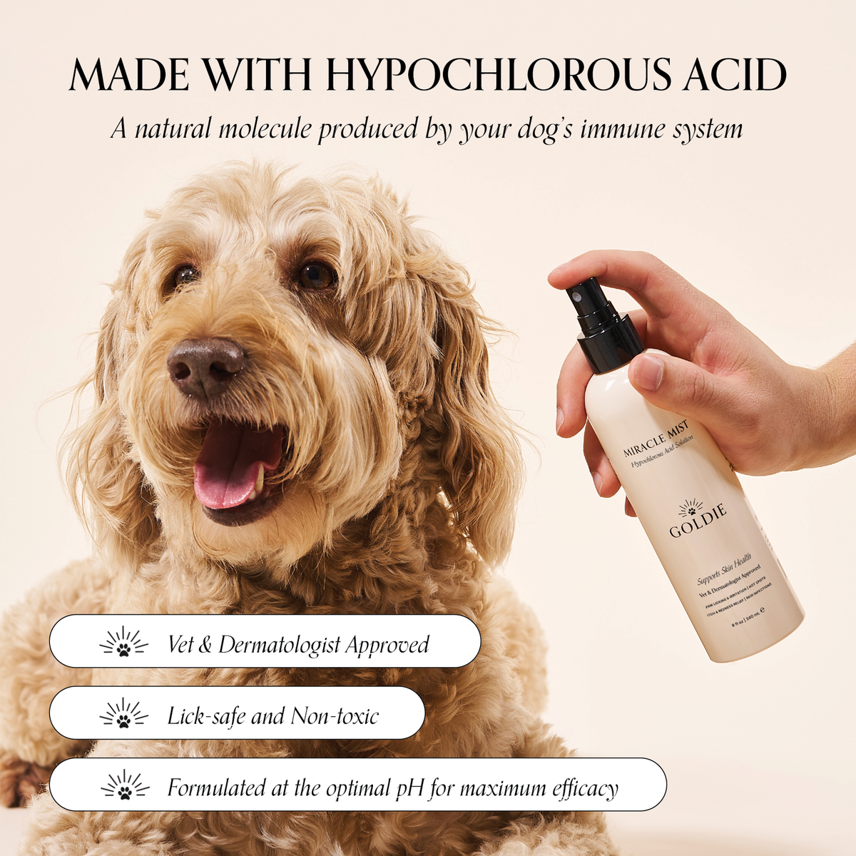 A person sprays Goldie - Miracle Mist by Goldie near a happy, curly-haired dog. Text highlights it as veterinarian approved, pet safe, non-toxic, pH balanced, and ideal for soothing pet skin conditions.