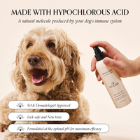 A person sprays Goldie - Miracle Mist by Goldie near a happy, curly-haired dog. Text highlights it as veterinarian approved, pet safe, non-toxic, pH balanced, and ideal for soothing pet skin conditions.