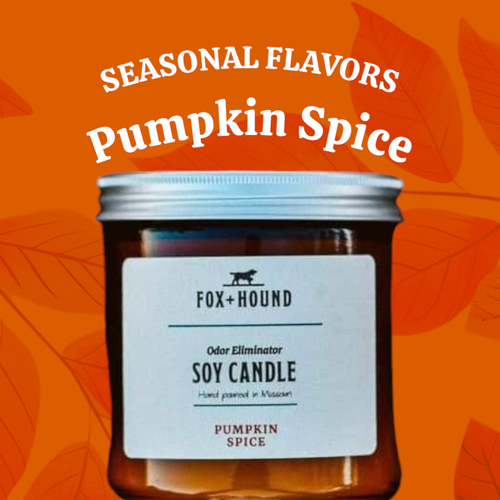 A Fox + Hound Odor Eliminator Soy Candle in Pumpkin Spice sits before an orange, leaf-patterned background. Above, “SEASONAL FLAVORS Pumpkin Spice” highlights this cozy candle from Fox + Hound.