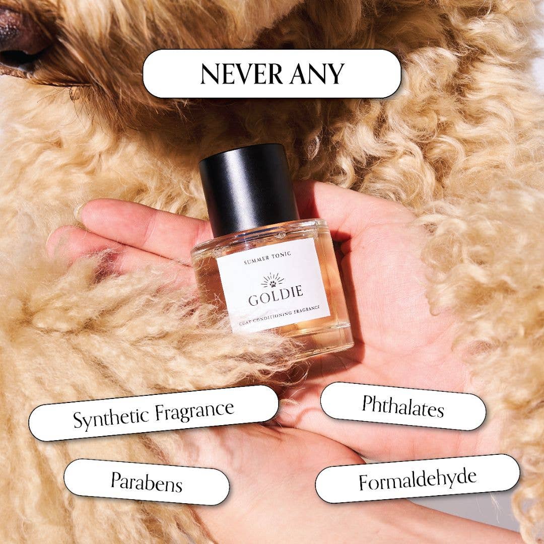 A hand holds a bottle of Goldie Dog Fragrance- Summer Tonic, a natural dog perfume, surrounded by curly light fur. Text bubbles read: "NEVER ANY" above and "Synthetic Fragrance," "Parabens," "Phthalates," and "Formaldehyde" below.