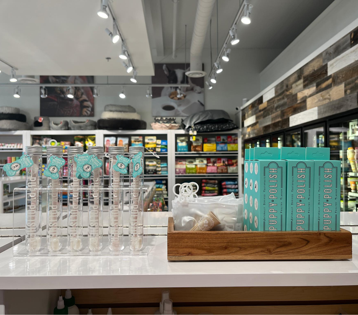 A pet store shelf showcases treat holders and turquoise boxes labeled "Snoozerland," accompanied by Wag & Bright Supply Co.'s Puppy Polisher Eco Toothbrush (Medium), perfect for maintaining pet dental health. The background is set with plush pet beds and bright lighting, crafting a cozy and inviting ambiance.