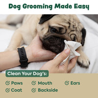 Chew + Heal - Extra Thick Herbal-Infused Dog Grooming Wipes - 110 Wipes